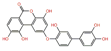 Cladophorol B